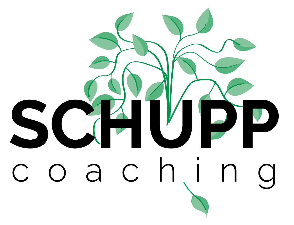 cropped-logoSchupp-1.png